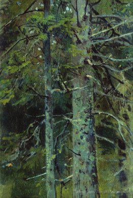 Forêt