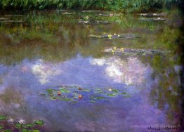 Lys d'eau, les nuages