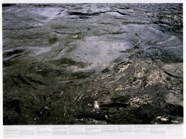 Sans titre (de la série Still Water (la Tamise de la rivière, pa