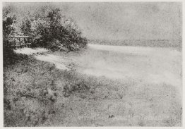 Haie sous la neige, villiers