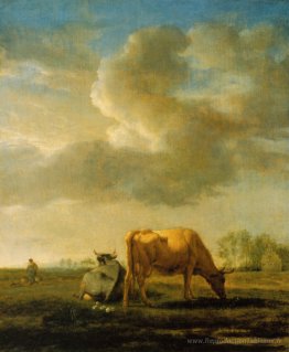 Vaches sur une prairie