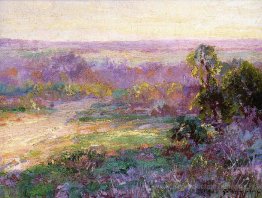 Derniers rayons de soleil, début du printemps à San Antonio