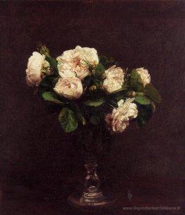 Roses blanches