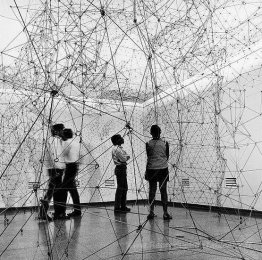 Reticulárea (vue d'installation)