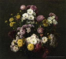 Fleurs, chrysanthèmes