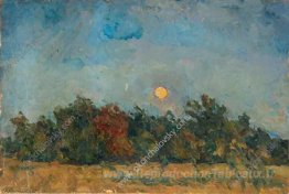 Nuit sur le terrain