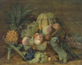 Fruits morte naturel avec un perroquet amazonien
