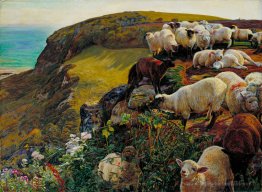 Nos côtes anglaises