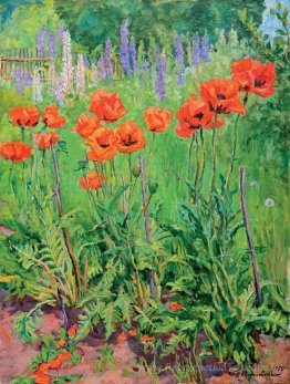 Coquelicots