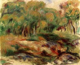 Paysage