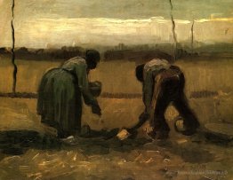 Plançage de pommes de terre paysanne et paysanne