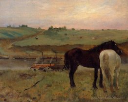 Chevaux dans une prairie