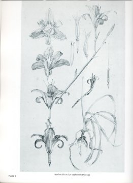 non-détecté