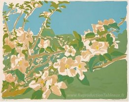 Di Apple Blossoms II
