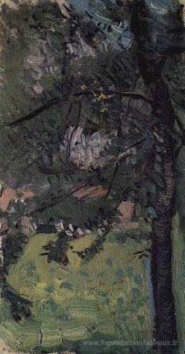 Étude de l'arbre