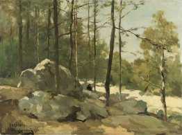 Vue forestière près de Barbizon