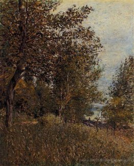 Un coin des Woods de Roches Courtaut, juin
