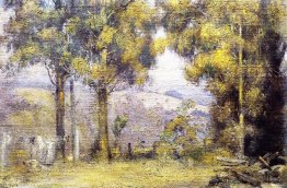 Journée de lavage, Kallista