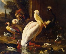Oiseaux dans un parc