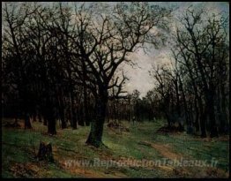 Forêt sans feuilles