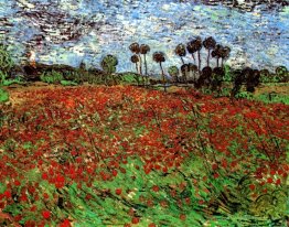 Champ avec coquelicots