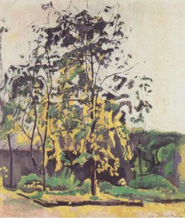 Arbre dans le jardin de l'atelier