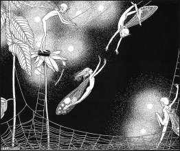 Le cirque de fée