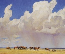 Douche des prairies