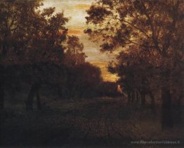 Route dans un bois