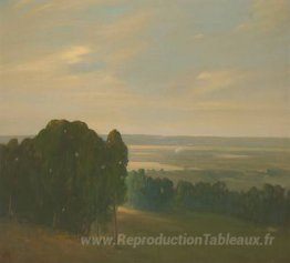 Eucalyptus Grove dans un vaste paysage