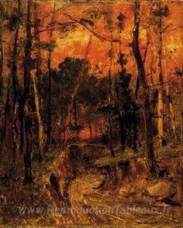 Coucher de soleil dans la forêt