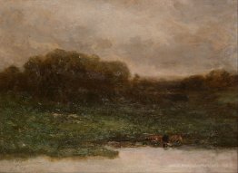 Crépuscule d'été