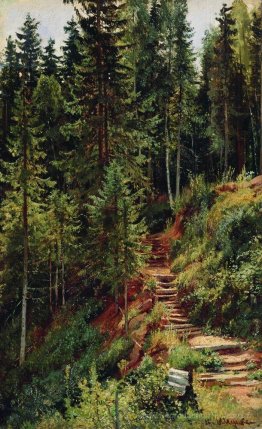 Le chemin dans la forêt