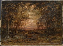 Coucher de soleil dans la forêt