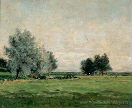 Prairie