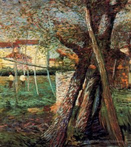 Campagne avec des arbres
