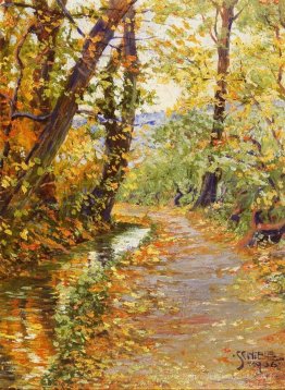 Ruisseau sinueux