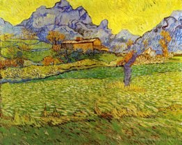 Une prairie dans les montagnes