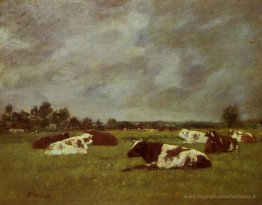 Vaches dans une prairie, effet matin