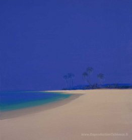 Plage avec paume