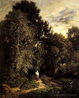 Chemin dans un petit bois