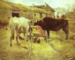 Taureaux
