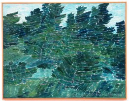 Forêt de pins