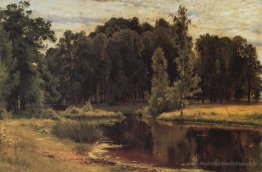 Étang dans un vieux parc