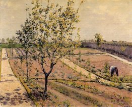 Jardin de cuisine, Petit Gennevilliers
