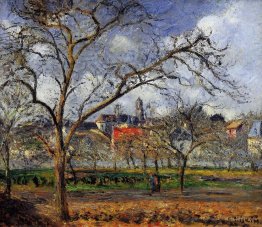 Sur Orchard à Pontoise en hiver