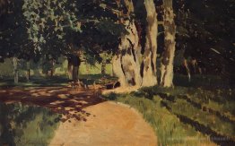 Dans le parc