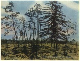Finlande avec un ciel bleu