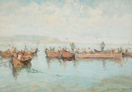 Nets à Tulcea