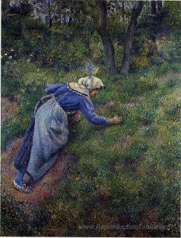 Grass de rassemblement paysan
